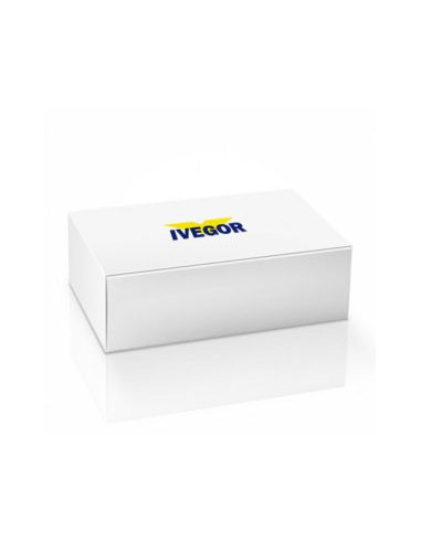 Masilla polivalente Ivegor 1kg (500g + 500g)