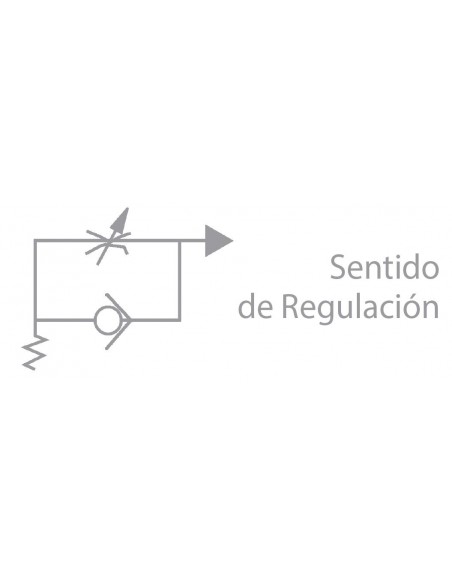 Regulador de flujo Aignep 55900